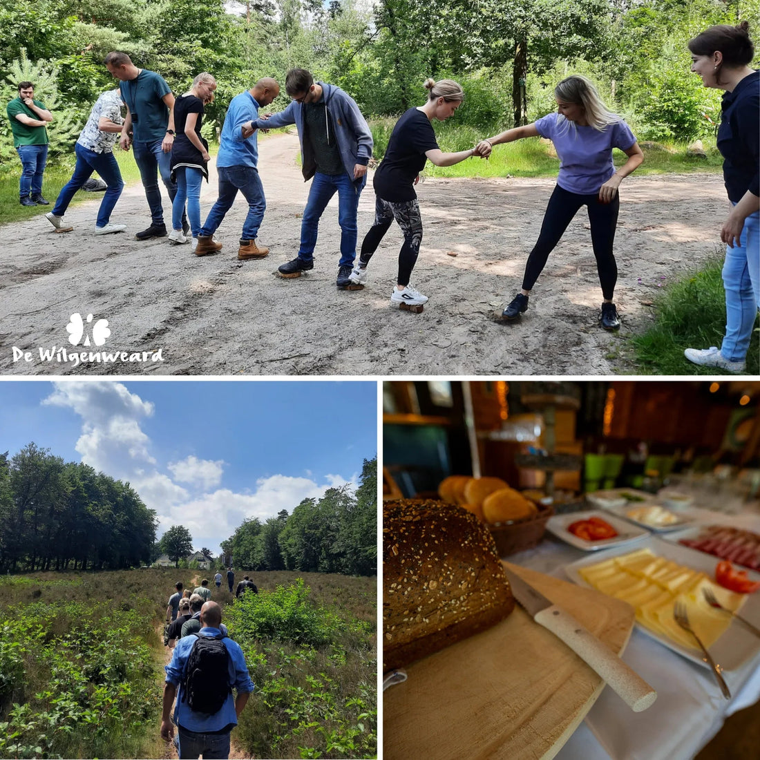 Teambuilding activiteiten bij De Wilgenweard met outdoor spel, boswandeling en ontbijt buffet
